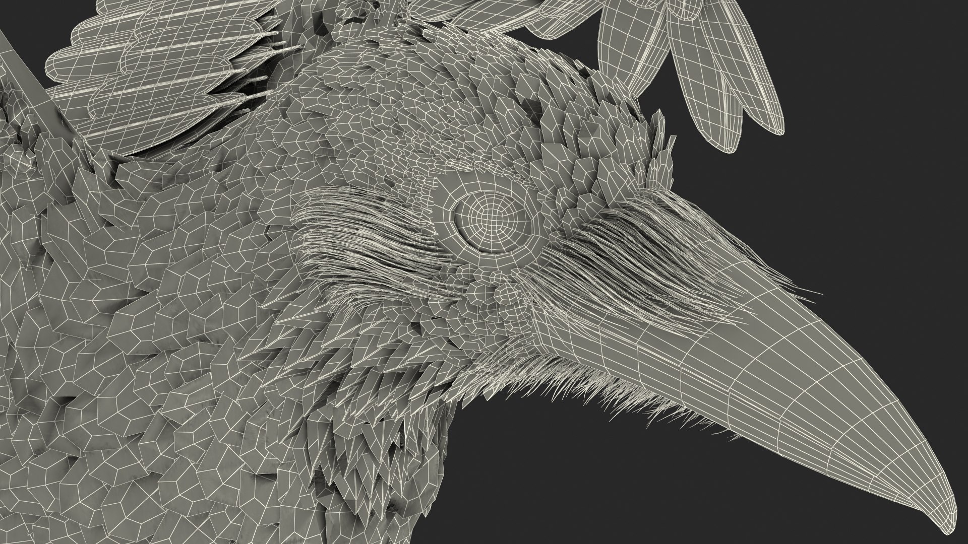 3D Raven Animated Takeoff Rigged model https://p.turbosquid.com/ts-thumb/3J/i7B8KH/dH/raven_animated_takeoff_rigged_023/jpg/1743409051/1920x1080/fit_q87/acd94a821c7d2351e46a9d8bf6506811c6a9142e/raven_animated_takeoff_rigged_023.jpg