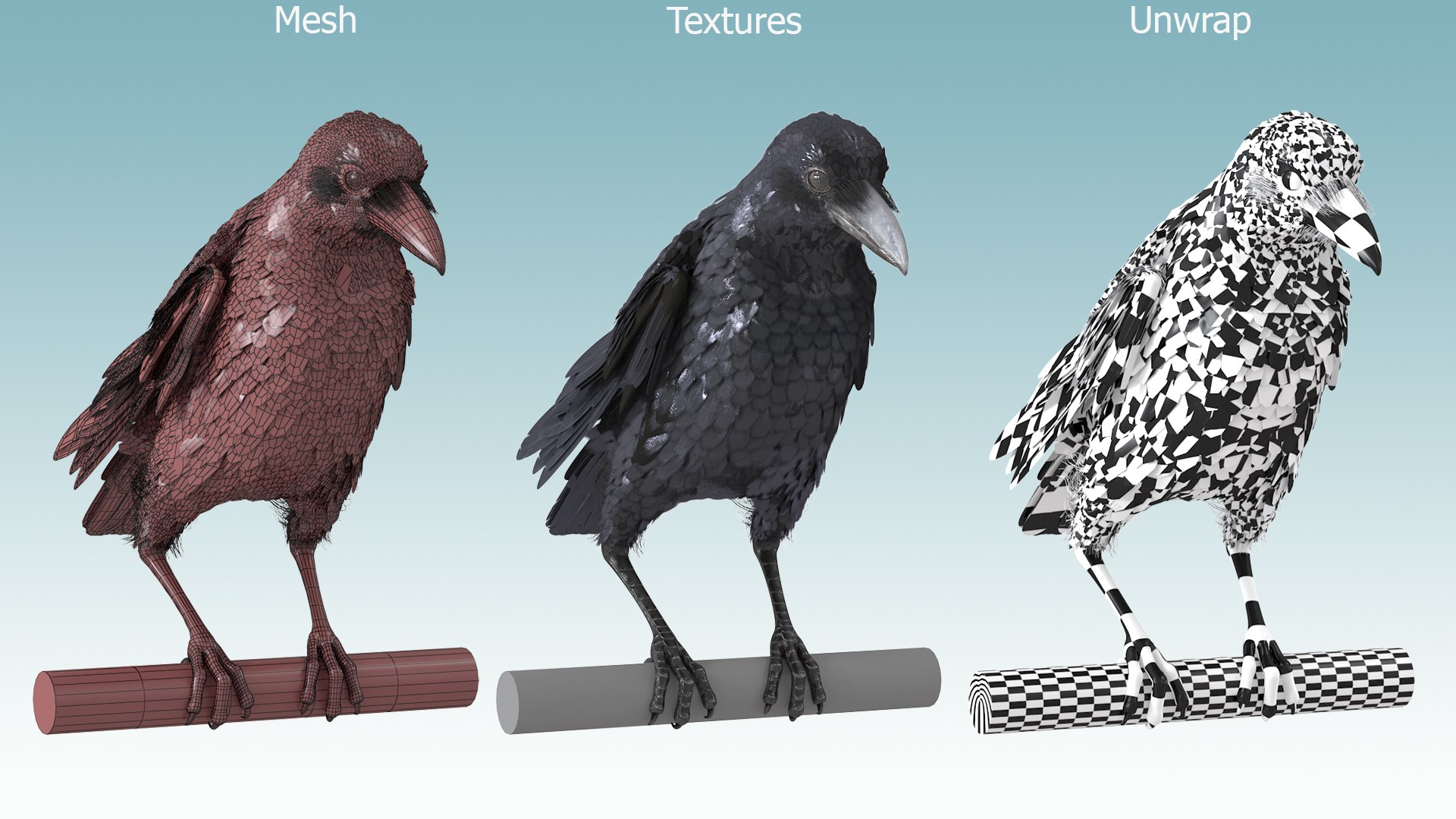 3D Raven Animated Takeoff Rigged model https://p.turbosquid.com/ts-thumb/3J/i7B8KH/iS/raven_animated_takeoff_rigged_015/jpg/1743409045/1920x1080/fit_q87/c2963a1396115457e5f418bc3fe362e211c3ecbc/raven_animated_takeoff_rigged_015.jpg