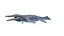 Kronosaurus animiert