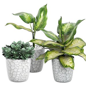 3D potted plants 69