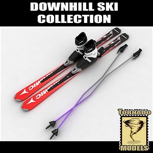 downhill skis boots poles 3d max