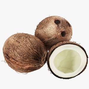 3D Coconut model