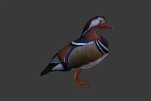 3d mandarin duck
