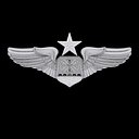 USAF Senior Combat Systems Officer Wings Badge