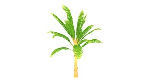 3d small palm model