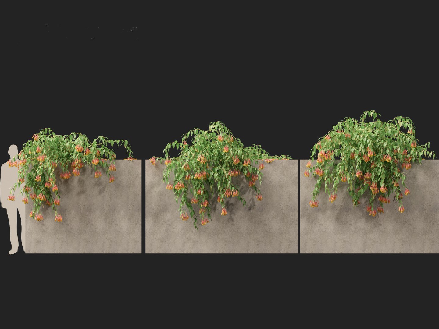 3D Bomarea multiflora - Trailing lily model https://p.turbosquid.com/ts-thumb/3K/IgcJVk/0a/bomareamultiflora018/jpg/1706446685/1920x1080/fit_q87/55b501d78eb24b31582af29cdea9de9e38639f05/bomareamultiflora018.jpg
