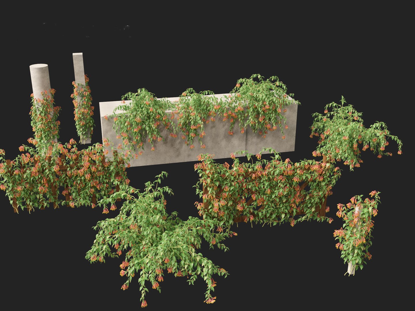3D Bomarea multiflora - Trailing lily model https://p.turbosquid.com/ts-thumb/3K/IgcJVk/ap/bomareamultiflora0112/jpg/1706446691/1920x1080/fit_q87/d1f22f146baa6b3fe863e73050a071a39c94ad79/bomareamultiflora0112.jpg