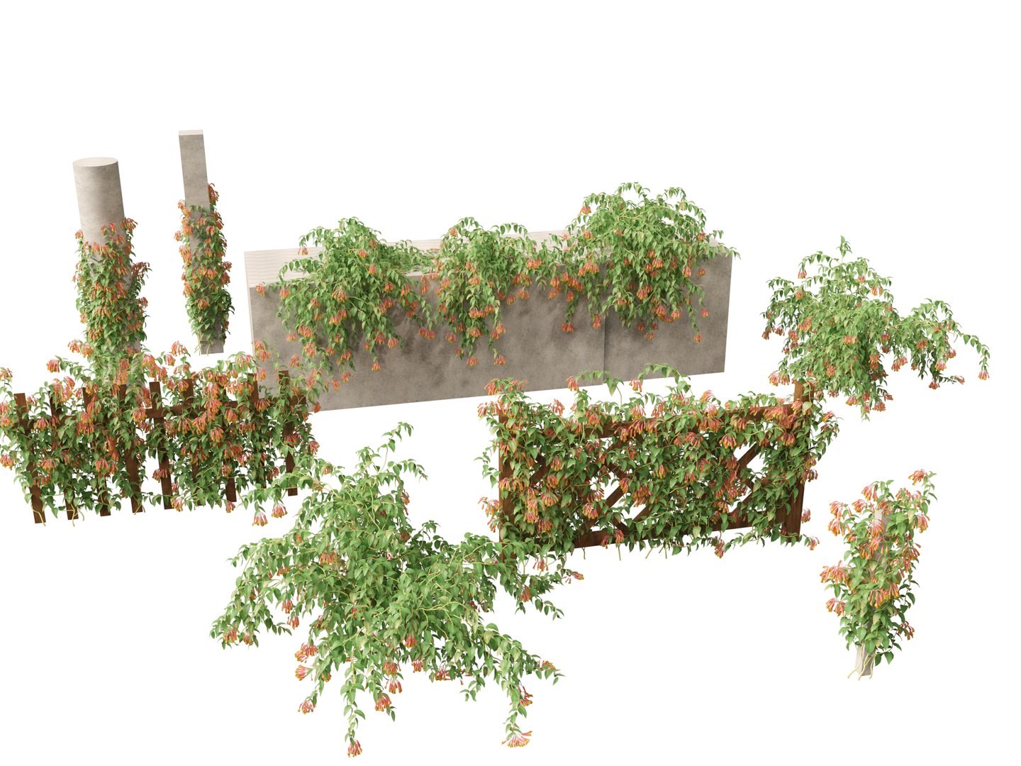 3D Bomarea multiflora - Trailing lily model https://p.turbosquid.com/ts-thumb/3K/IgcJVk/lK/bomareamultiflora0111/jpg/1706446690/1920x1080/fit_q87/97197c1ff8e3ff101e005d904df1d69f68f55bb8/bomareamultiflora0111.jpg