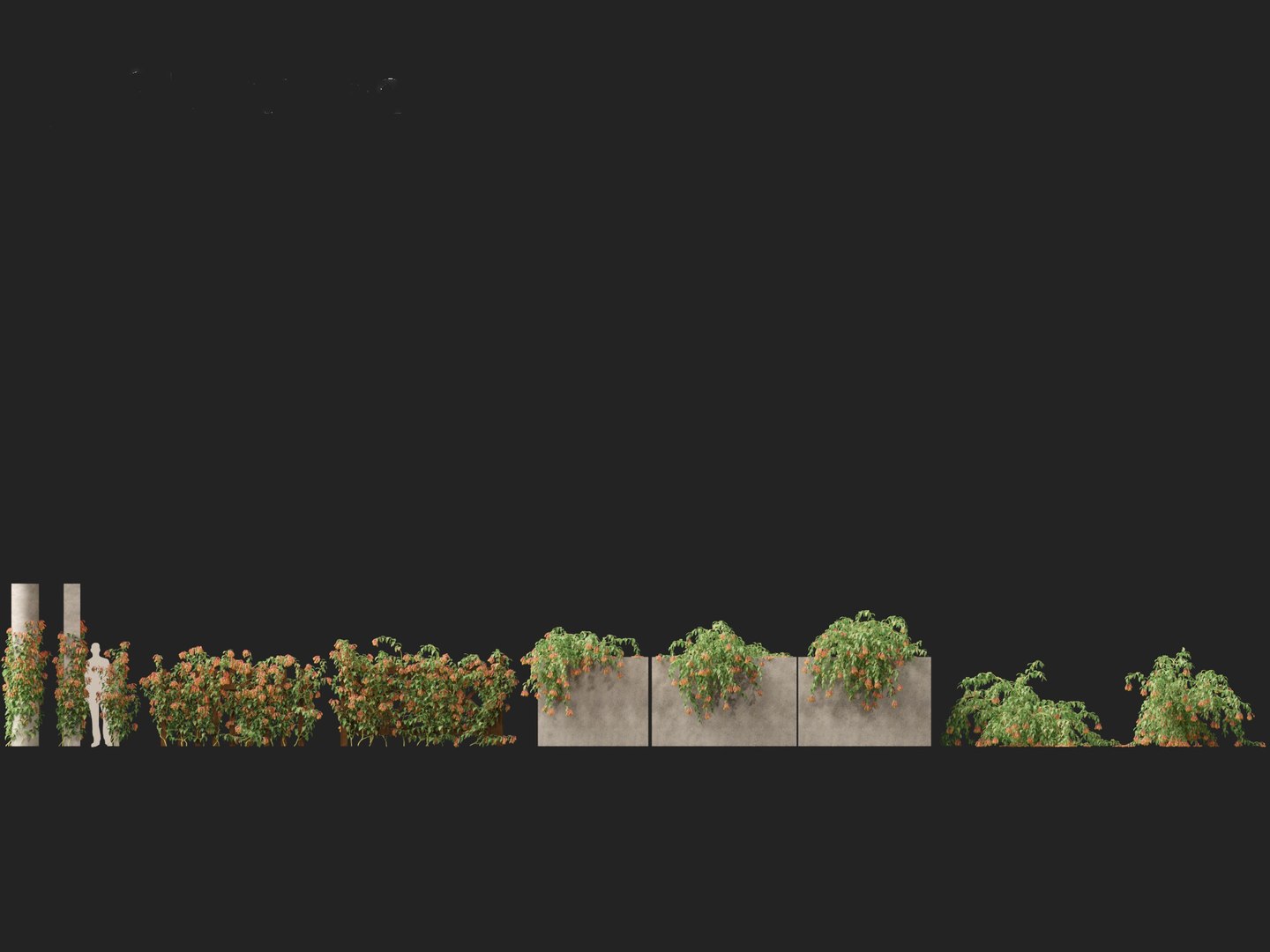 3D Bomarea multiflora - Trailing lily model https://p.turbosquid.com/ts-thumb/3K/IgcJVk/vn/bomareamultiflora012/jpg/1706446674/1920x1080/fit_q87/a57b8757f19811686d981a7e710a25e5cd8df137/bomareamultiflora012.jpg