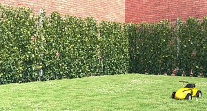 3d model ivy plant fence growfx