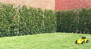 Ivy Fence GrowFX