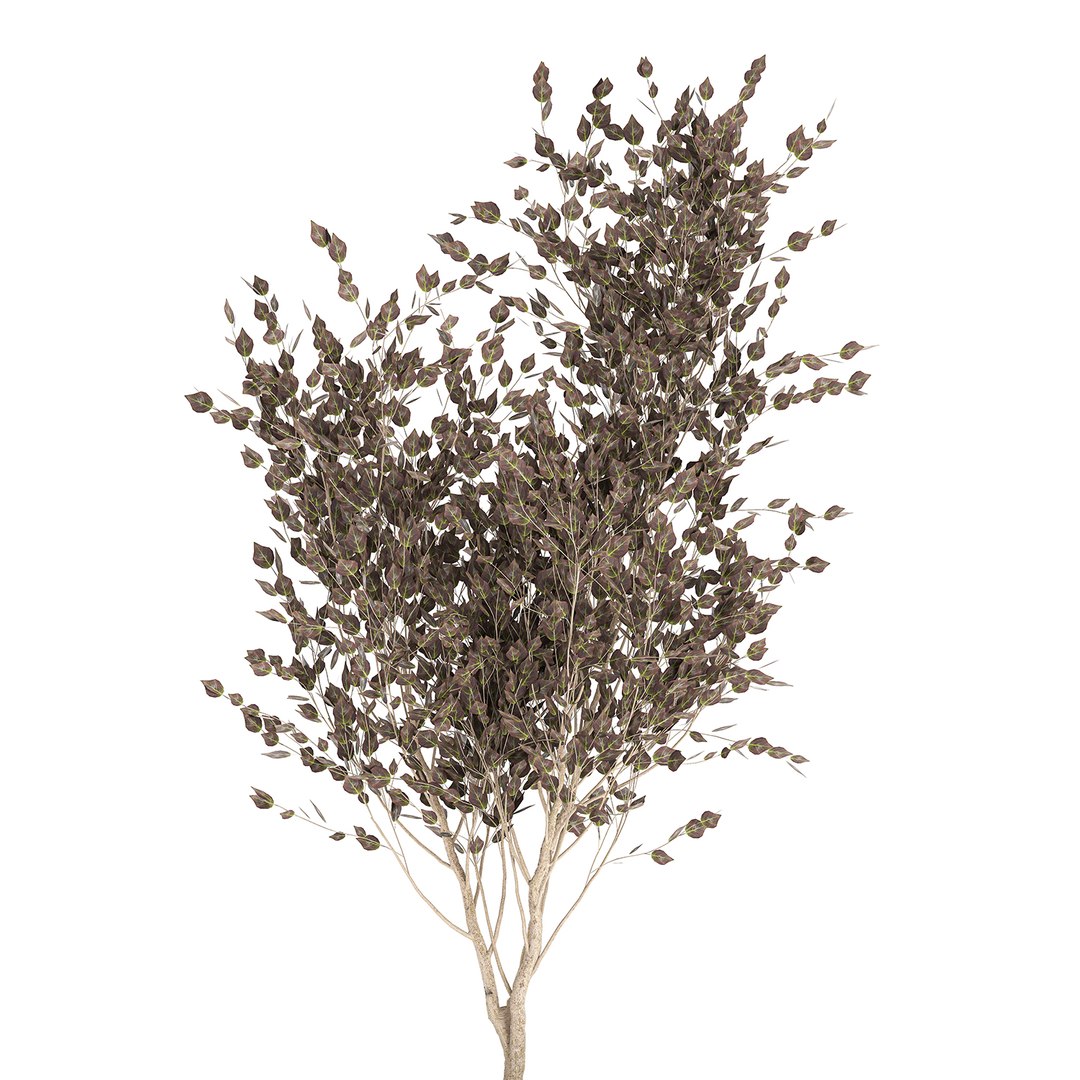 Decorative Trees Interior Black 3D Model - TurboSquid 1619659