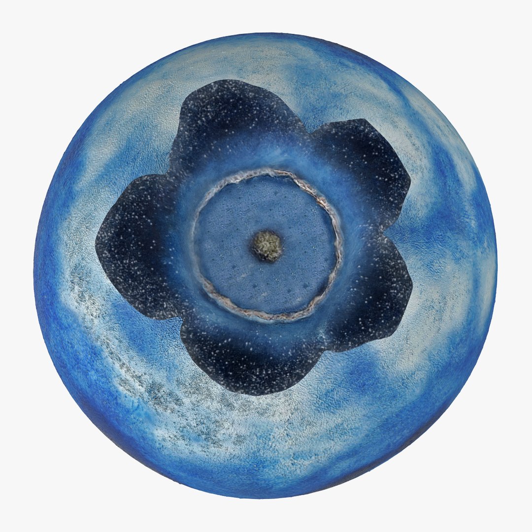 blueberry nature 3d model https://p.turbosquid.com/ts-thumb/3K/aQyCNL/M2wUq7j6/blueberry_0002/jpg/1415025784/1920x1080/fit_q87/851dd6ecd246aa6b7ee0d5fc6227eae76af350c7/blueberry_0002.jpg