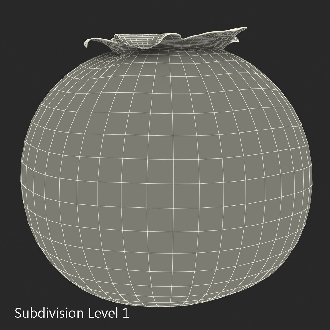 blueberry nature 3d model https://p.turbosquid.com/ts-thumb/3K/aQyCNL/OMYHEESr/blueberry_subdivision_1/jpg/1415026590/1920x1080/fit_q87/be7d3a3d8b538980572646c85b8cf81d09366f20/blueberry_subdivision_1.jpg