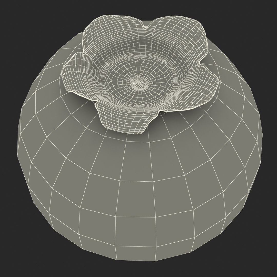 blueberry nature 3d model https://p.turbosquid.com/ts-thumb/3K/aQyCNL/TZgRjGfS/blueberry_g_0000/jpg/1415026546/1920x1080/fit_q87/289db2c7b227b7347078a0f42ea87a139799e6dc/blueberry_g_0000.jpg