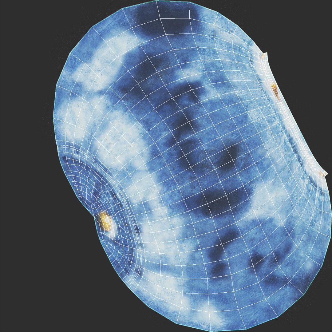 blueberry nature 3d model https://p.turbosquid.com/ts-thumb/3K/aQyCNL/Wimhkw5V/blueberry_uvw_0/jpg/1415026623/1920x1080/fit_q87/8badfca2d81529a69d80cb0fd86d864e16428c0e/blueberry_uvw_0.jpg