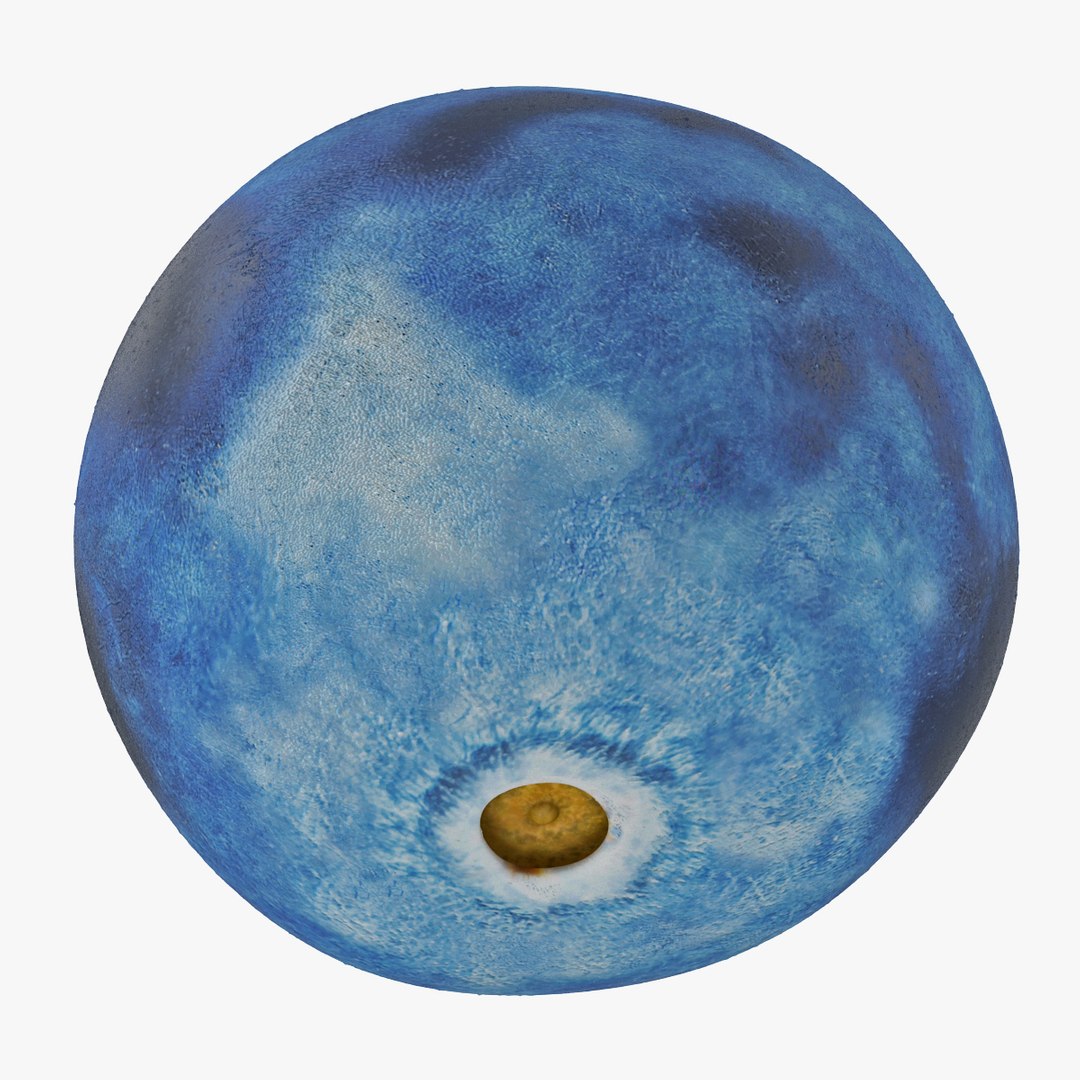 blueberry nature 3d model https://p.turbosquid.com/ts-thumb/3K/aQyCNL/andLyj75/blueberry_0003/jpg/1415025790/1920x1080/fit_q87/3df59e035fc741f694a7cd751a499ee643b585f3/blueberry_0003.jpg
