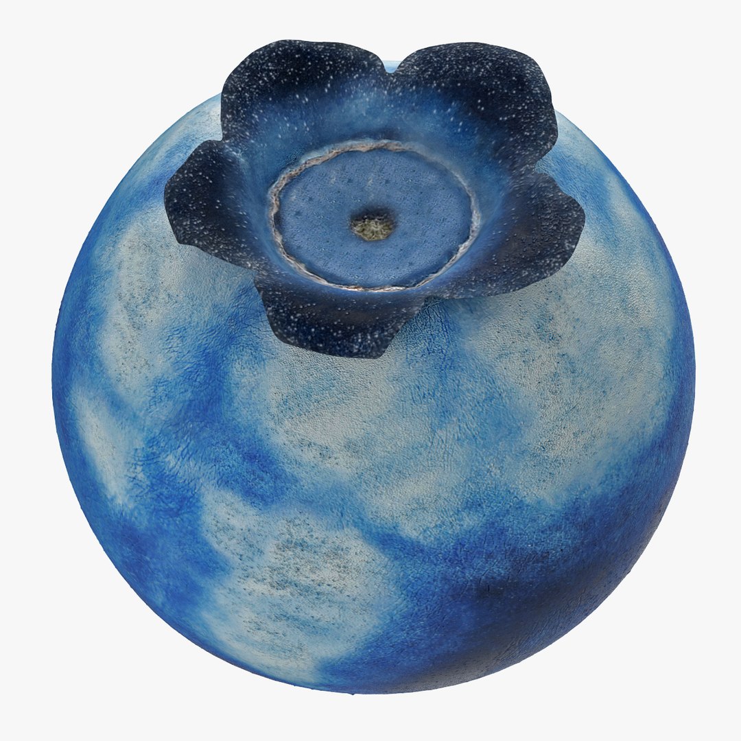 blueberry nature 3d model https://p.turbosquid.com/ts-thumb/3K/aQyCNL/bsT3xzdB/blueberry_0001/jpg/1415025748/1920x1080/fit_q87/5c8c58993c6d8812fa0c061095bb843a50ee86b4/blueberry_0001.jpg