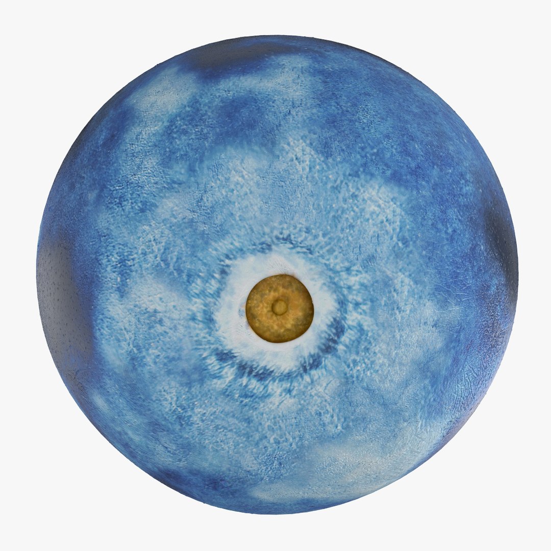 blueberry nature 3d model https://p.turbosquid.com/ts-thumb/3K/aQyCNL/hCRqc84w/blueberry_0004/jpg/1415025791/1920x1080/fit_q87/e5beb20c8033da6964afe0ad700bea091c75485b/blueberry_0004.jpg