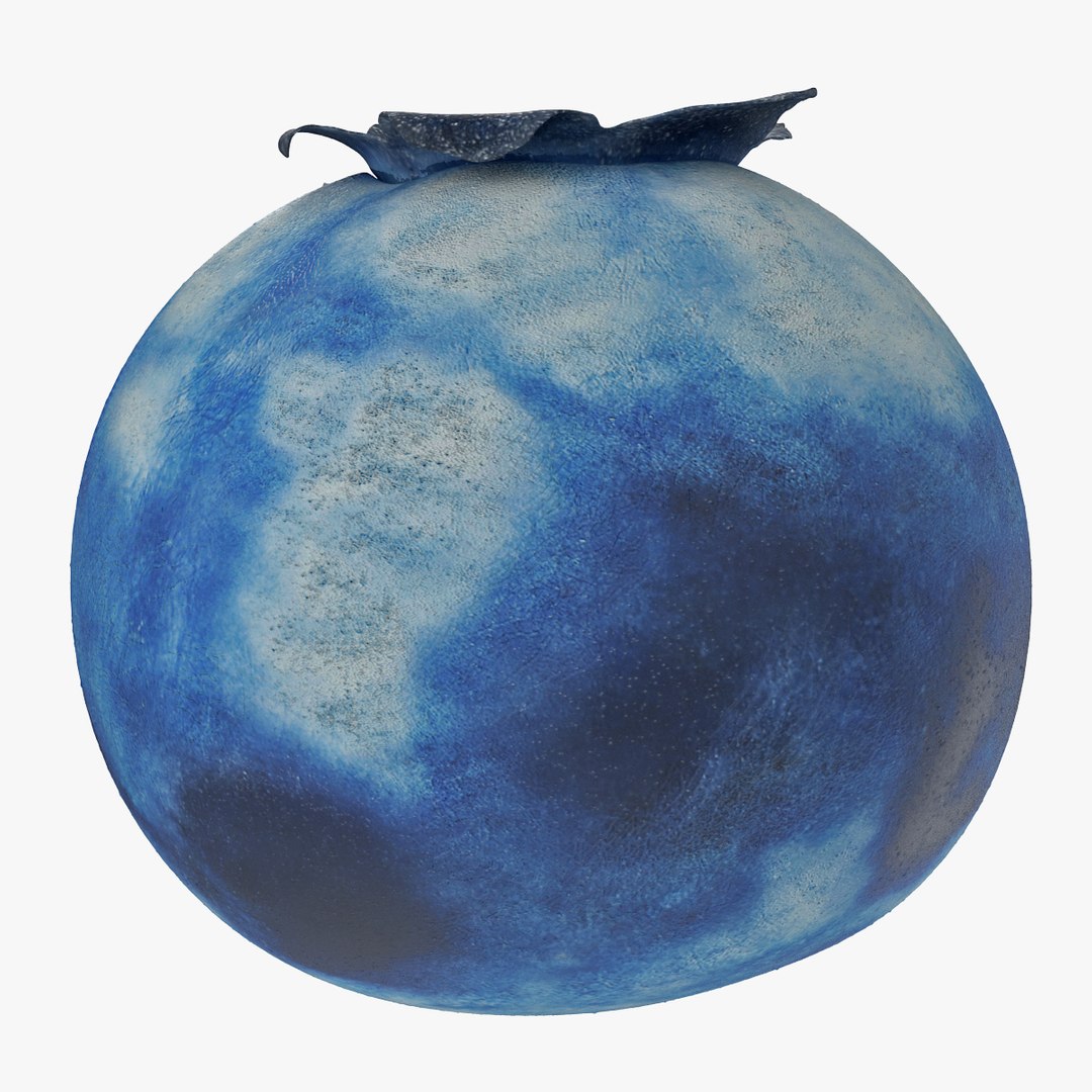 blueberry nature 3d model https://p.turbosquid.com/ts-thumb/3K/aQyCNL/se4DojAK/blueberry_0000/jpg/1415025749/1920x1080/fit_q87/e92e36b98e6f1af36a0bbcd7b56b91b8babb0685/blueberry_0000.jpg