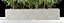 Bamboo plant 6