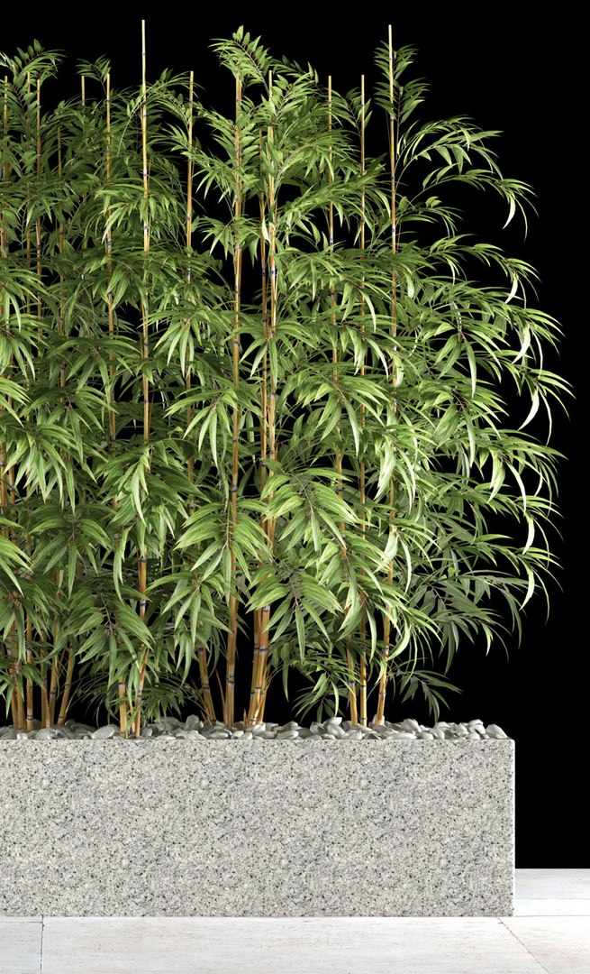 3d model bamboo plant https://p.turbosquid.com/ts-thumb/3K/ed5XFk/bYfhqIBY/5/jpg/1475002434/1920x1080/fit_q87/ec89bcb69ecd1e40612fe93fee8b112a3af7ac47/5.jpg
