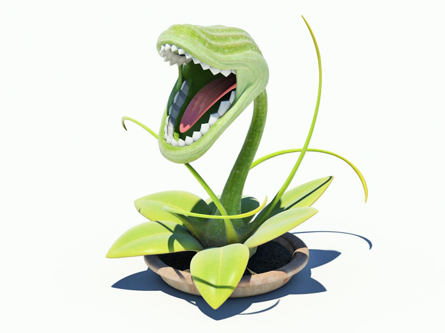 3d Model Carnivorous Plant