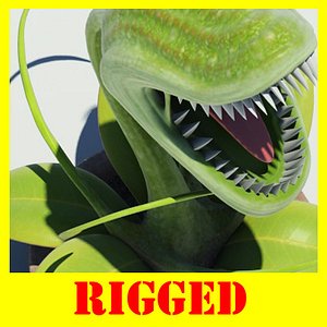 3d model carnivorous plant
