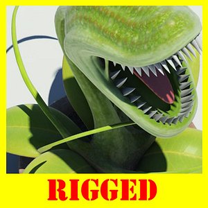 Carnivorous Plants