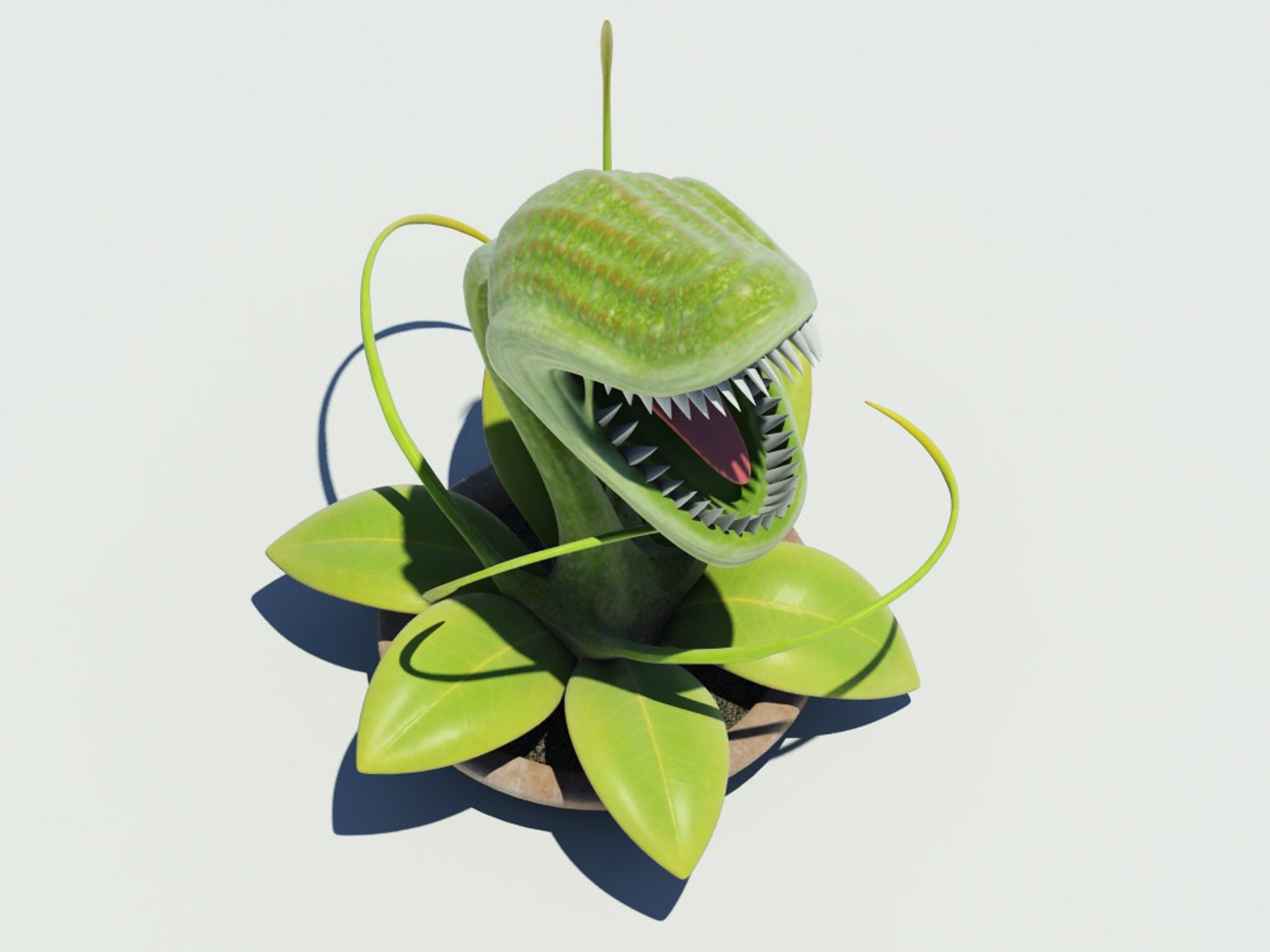 3d model carnivorous plant