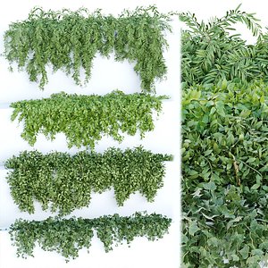 Plants Wall 3D Models For Download | Turbosquid