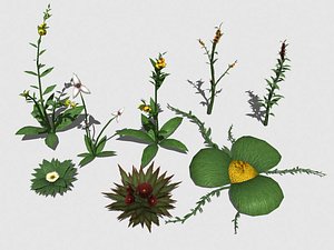 set plants 3d model
