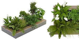 Collection plant vol 313 - blender model 3D model