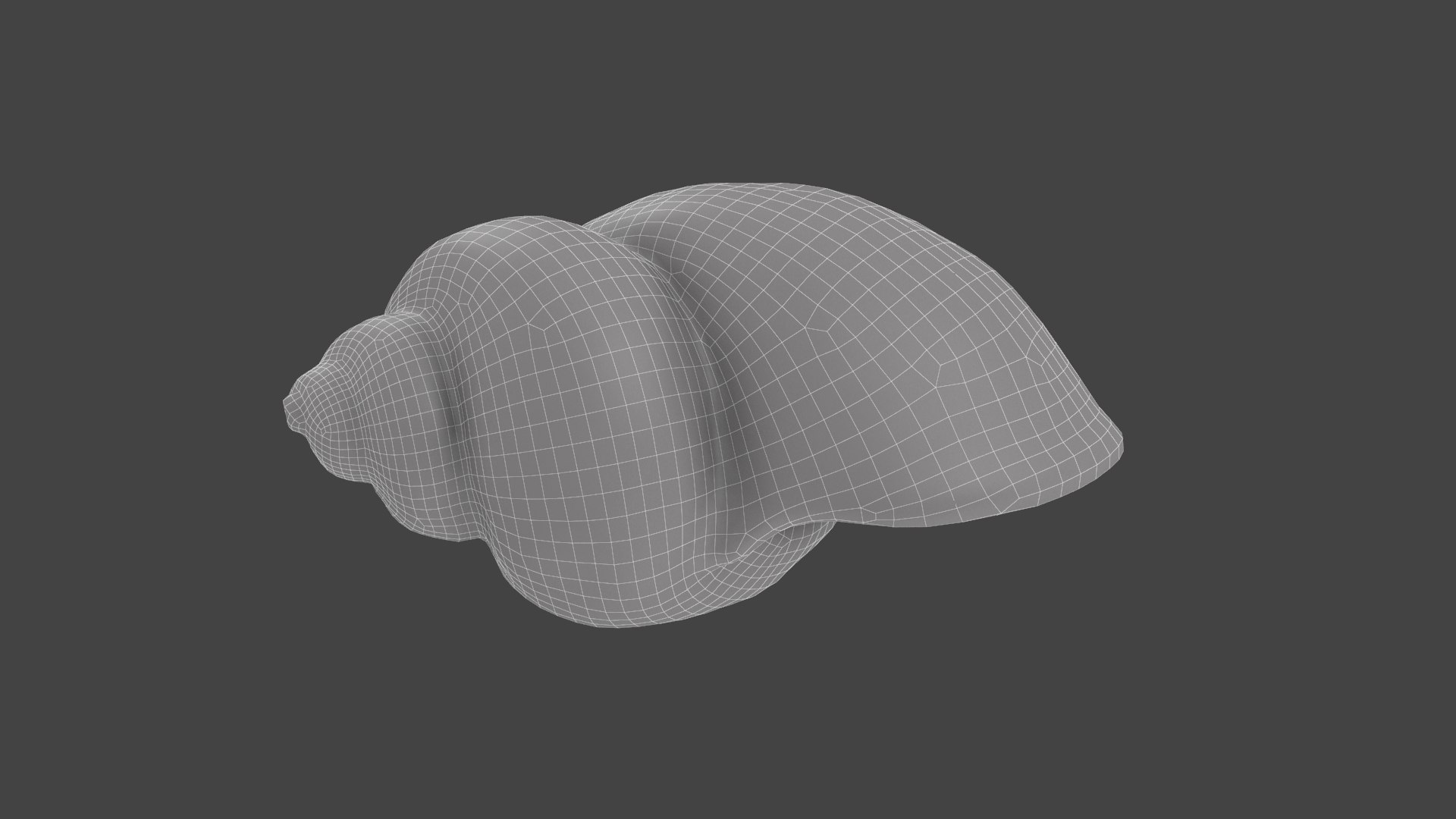 3D model Megalobulimus Oblongus Snail Shell https://p.turbosquid.com/ts-thumb/3K/y1aA95/2x/mo_wired03/png/1621022210/1920x1080/fit_q87/67c48c5ca979f0dba5700d2bbda761aacd84e401/mo_wired03.jpg