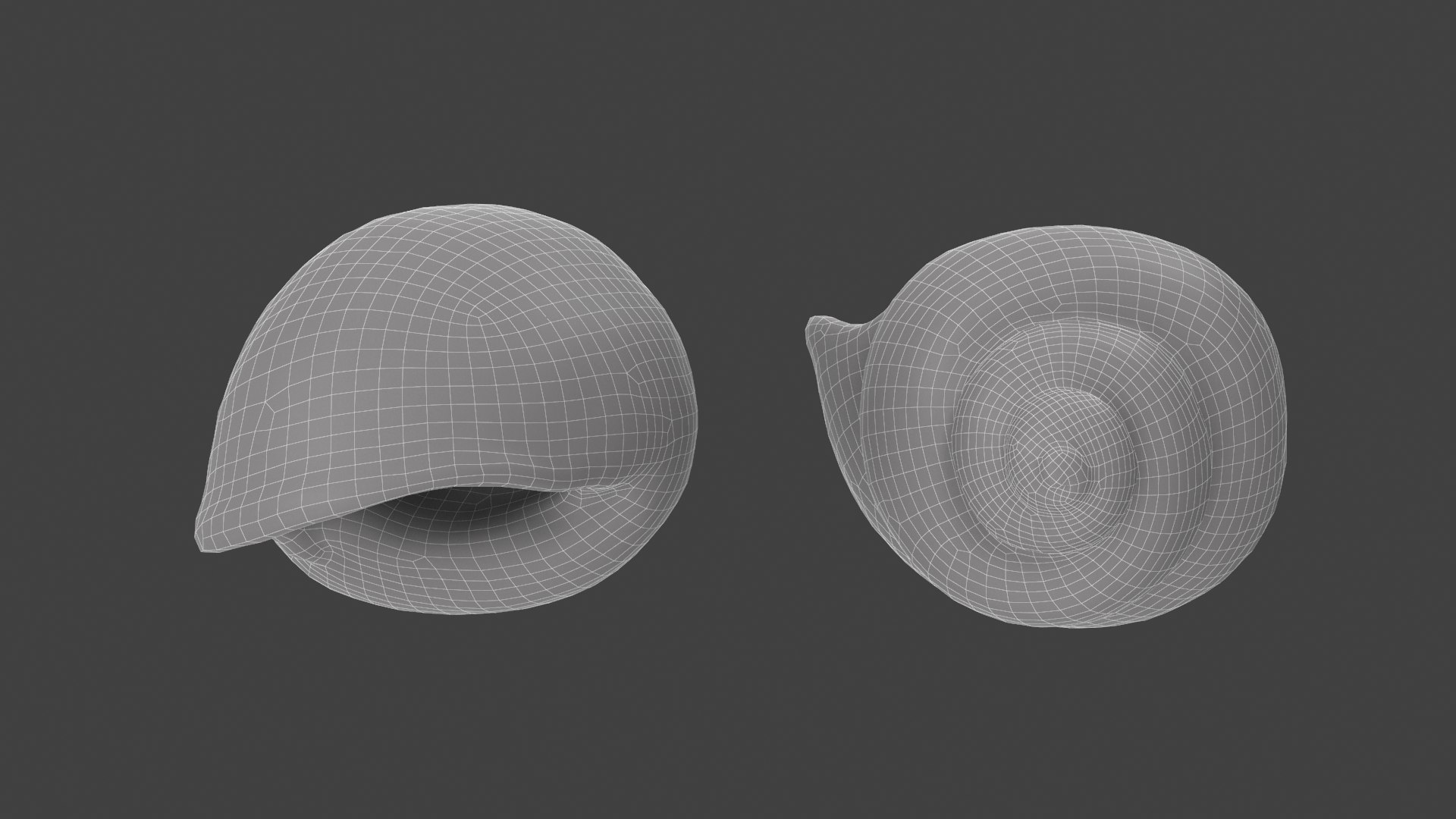 3D model Megalobulimus Oblongus Snail Shell https://p.turbosquid.com/ts-thumb/3K/y1aA95/ZI/mo_wired02/png/1621022246/1920x1080/fit_q87/0c172d675d557e7194d48b664eb1638563651ff3/mo_wired02.jpg