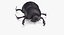 black scarab beetle walking 3D model