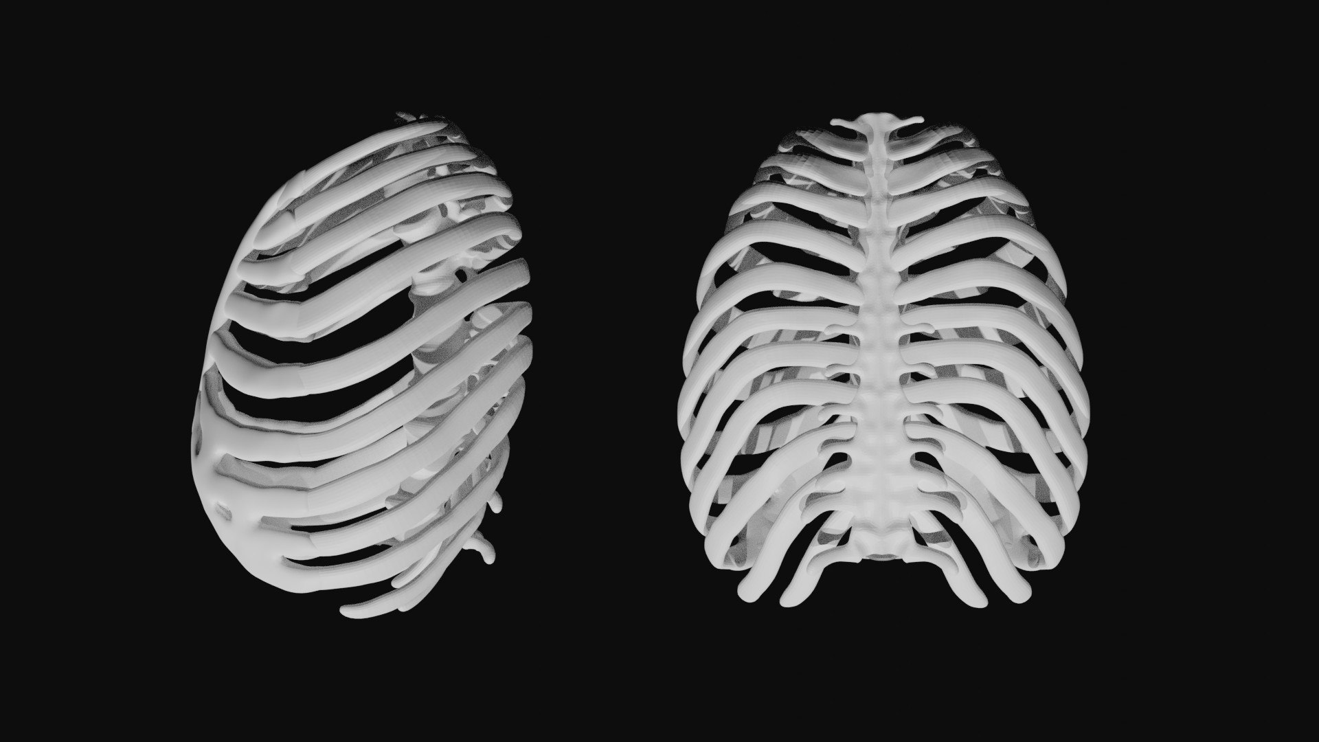 Rigged Spine Plus Rib Cage combined Collection 3D model https://p.turbosquid.com/ts-thumb/3L/EdgKiS/dD/5/jpg/1622936109/1920x1080/fit_q87/454441d006ab650dc28a8e40e9b0c5cceb635688/5.jpg