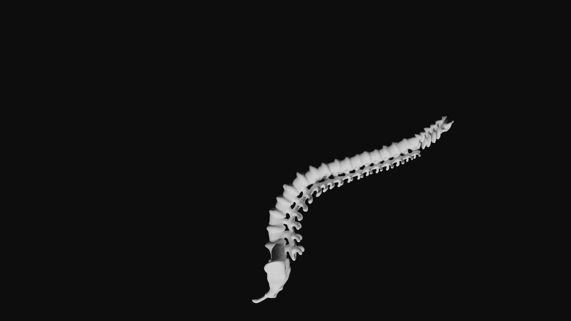 Rigged Spine Plus Rib Cage combined Collection 3D model https://p.turbosquid.com/ts-thumb/3L/EdgKiS/jU/9/jpg/1622936108/1920x1080/fit_q87/ae28fc236e9ff7cb5f0544f40fff36033869a175/9.jpg