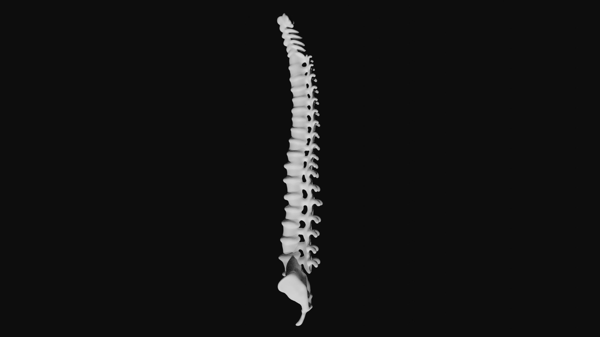 Rigged Spine Plus Rib Cage combined Collection 3D model https://p.turbosquid.com/ts-thumb/3L/EdgKiS/rb/8/jpg/1622936108/1920x1080/fit_q87/ec510756a62f529df4a3ab3f56512ff6ed74050a/8.jpg