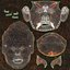 Asian Tribal Mask