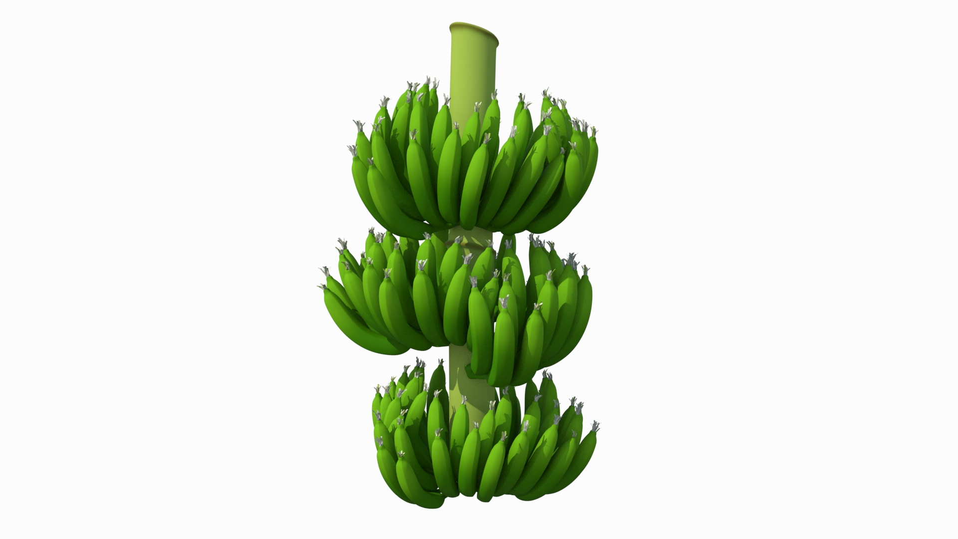 green banana cluster model https://p.turbosquid.com/ts-thumb/3L/N3pJx6/492u3yiX/green_banana_cluster_360/jpg/1591446173/1920x1080/turn_fit_q99/54883fab26b3aff5d707594c87744e87a57c33c4/green_banana_cluster_360-1.jpg