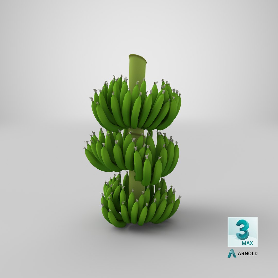 green banana cluster model https://p.turbosquid.com/ts-thumb/3L/N3pJx6/HdeDo3cD/stemcell_max_arnold_render/png/1595950617/1920x1080/fit_q87/2732b29254e521d0d9586341bc09dcf1004baa6e/stemcell_max_arnold_render.jpg