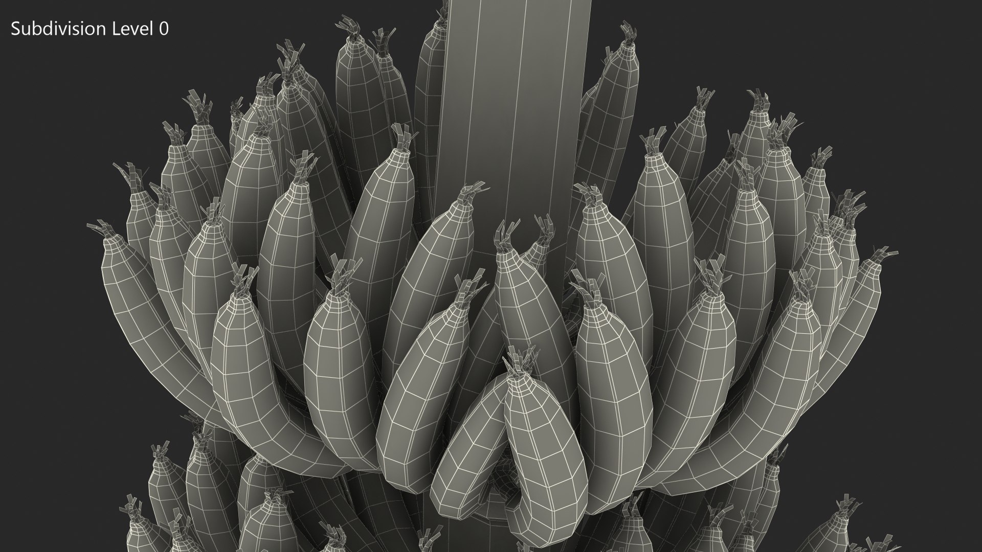 green banana cluster model https://p.turbosquid.com/ts-thumb/3L/N3pJx6/UDCn7Rub/greenbananaclustervray3dmodel008/jpg/1591447574/1920x1080/fit_q87/845f95f15d1bb8cc6ef51b245e237e4714b6e665/greenbananaclustervray3dmodel008.jpg