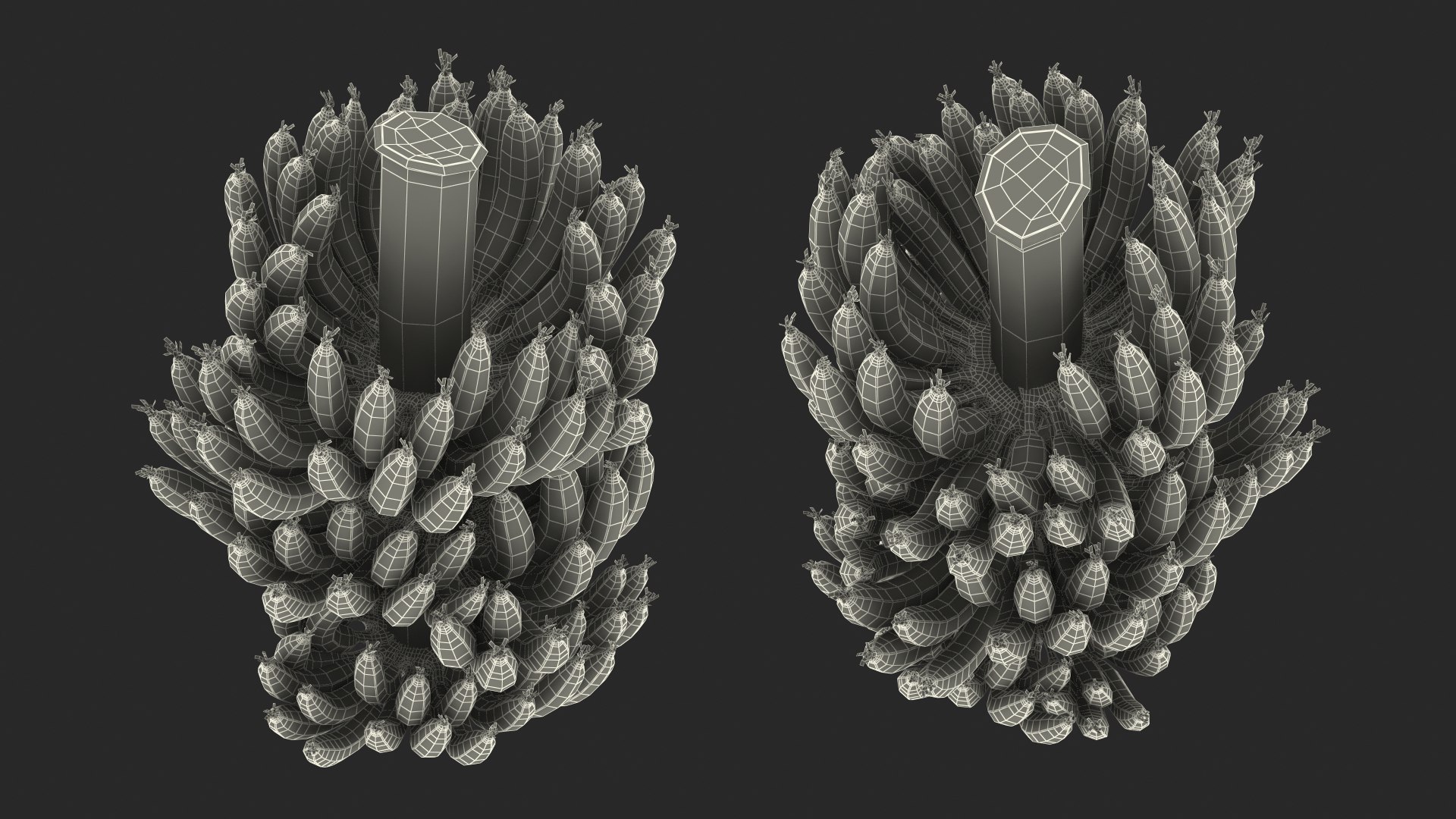 green banana cluster model https://p.turbosquid.com/ts-thumb/3L/N3pJx6/lf2yChCb/greenbananaclustervray3dmodel019/jpg/1591447672/1920x1080/fit_q87/8e29286f51e4e5aaed52404698f86ac2cc57711c/greenbananaclustervray3dmodel019.jpg