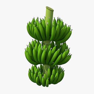green banana cluster model