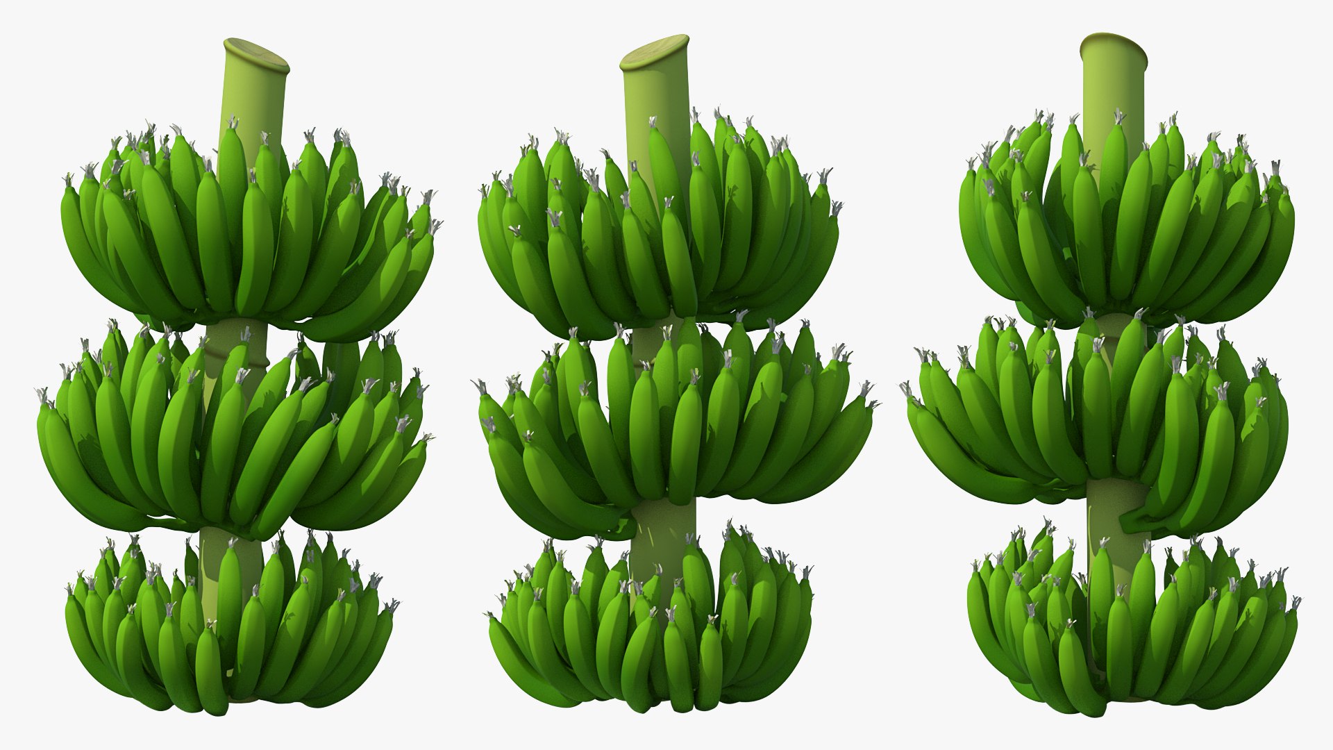 Green Banana Cluster 3D model preview