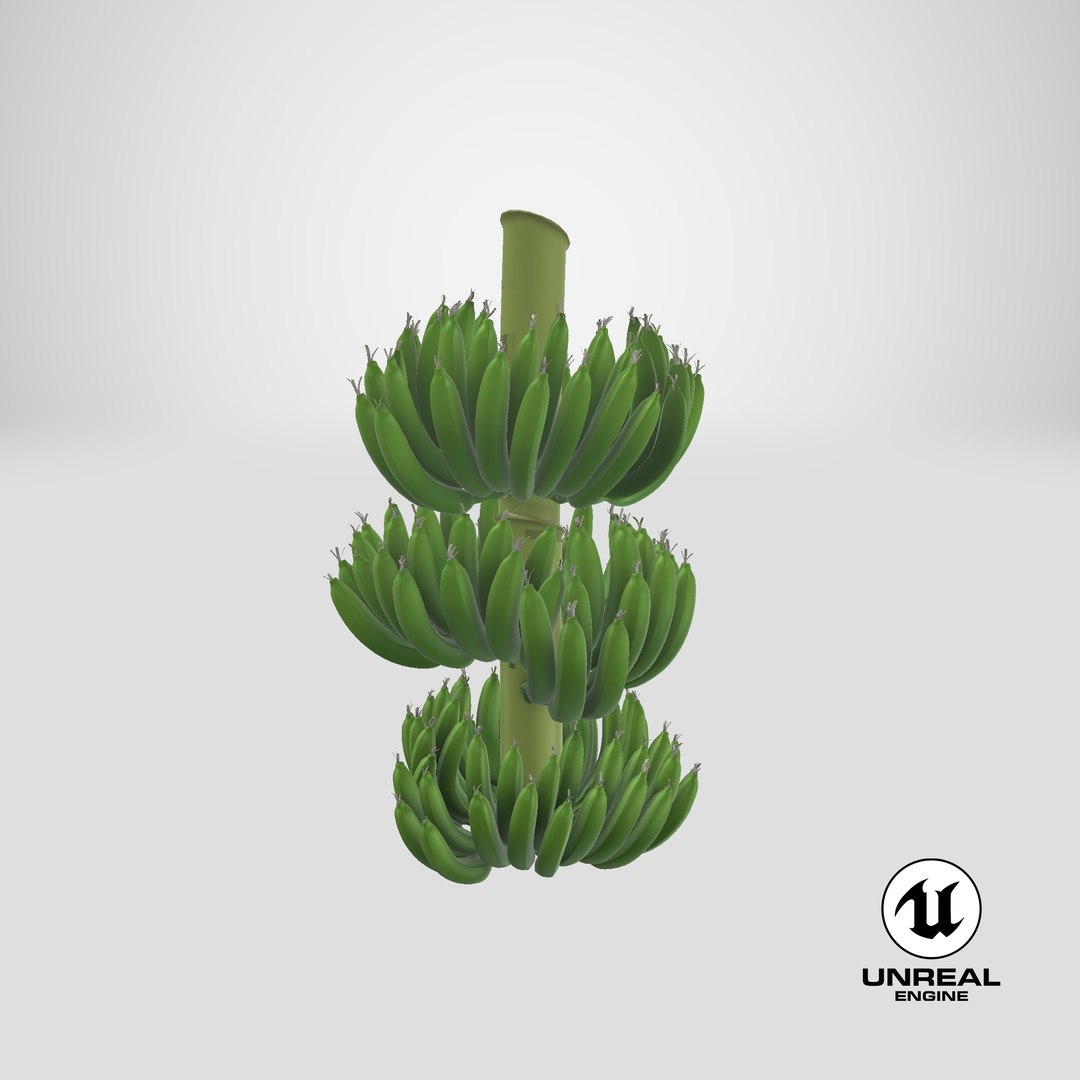 green banana cluster model https://p.turbosquid.com/ts-thumb/3L/N3pJx6/zegBQMHp/stemcell_unreal_render/png/1595950613/1920x1080/fit_q87/119a13002ba68b277d462aab5863678bb8d2107b/stemcell_unreal_render.jpg