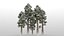 5 sequoia trees 3D model