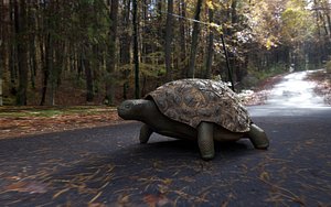 Rigged Turtle 3D model