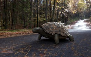 Rigged Turtle